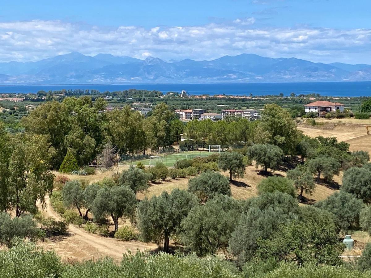 Le Colline Del Gelso-Masseria Mazzei 罗萨诺 外观 照片